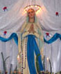 Mary Immaculate