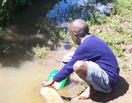 Gathering water in plastic jugs to be used for cooking